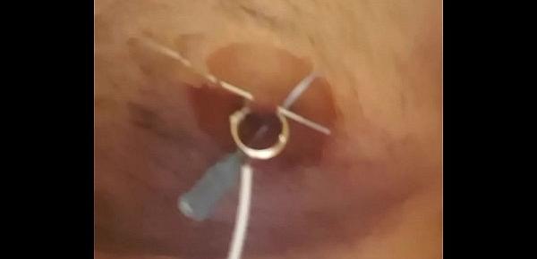  nipple piercing estim with needles